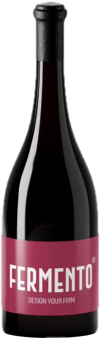 Bottiglia di vino con l'etichetta Fermento